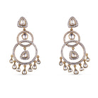  Vasundhara's Erina Earrings is displayed 